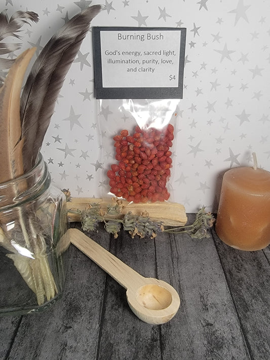Burning Bush Berries