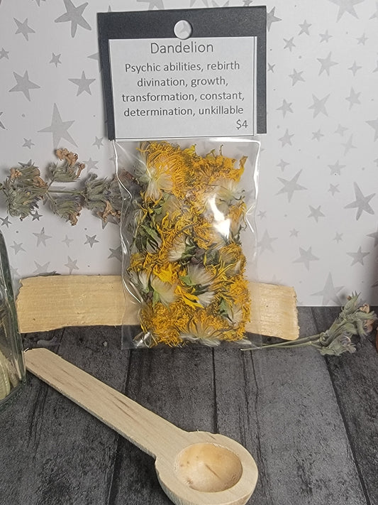 Dandelion Flowers