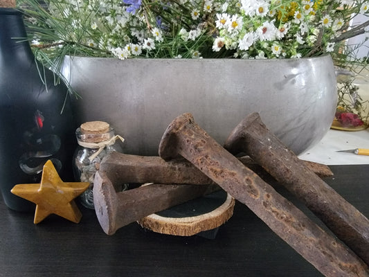 Railroad Spikes (set of 4) - Crossroads, faebane