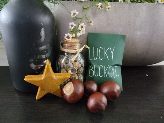 Lucky Buckeye